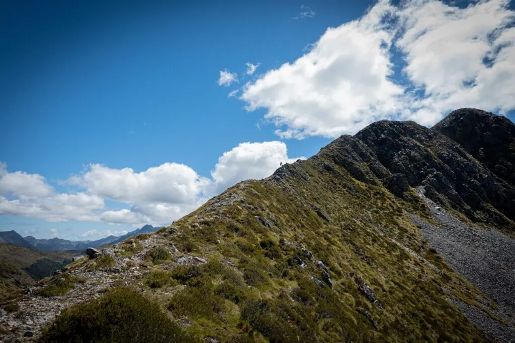 Distance shot of a hiker in the distance on a steep ridge on Matiri Tops Route in Kahurangi National Park