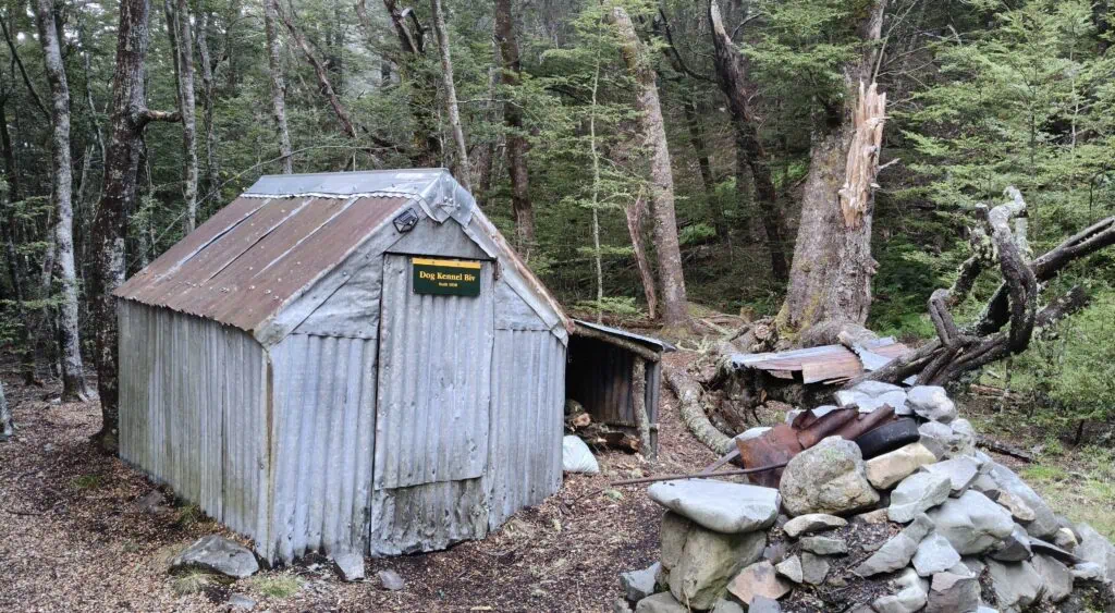 The historic Dog Kennel Bivouac, a small corrugated iron backcountry hut nestled in native beech forest within the Two Thumb Range, Canterbury. It sits on the true left of Black Birch Creek