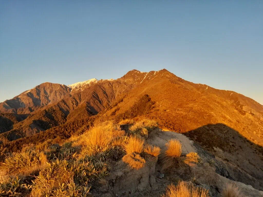 Looking up tussock covered George Spur in the early morning light on route to Mt Tarahaka in Seaward Kaikōura Range in Ka Whata Tu o Rakihouia Conservation Park
