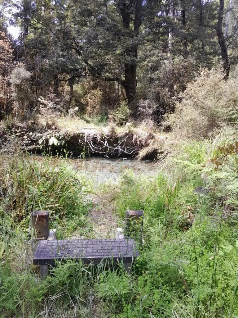 A photo showing a wooden step that was once for a bridge across a stream, but the bridge has disappeared. The grass around it is overgrown. On the Sabine-D'Urville Track. 