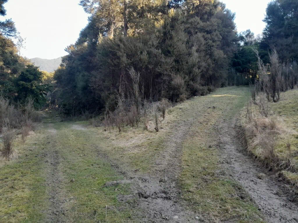 A picture of a fork in the road in the Seaward Kaikōura Range in Ka Whata Tu o Rakihouia Conservation Park, attempting to find the route to Mt Tarahaka