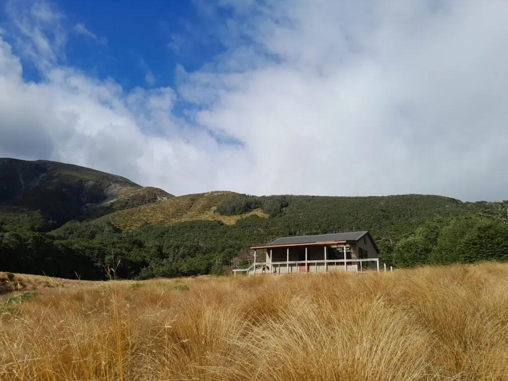 Lon tussock surrounding Speargrass Hut in a sheltered clearing with beech forest surrounding it