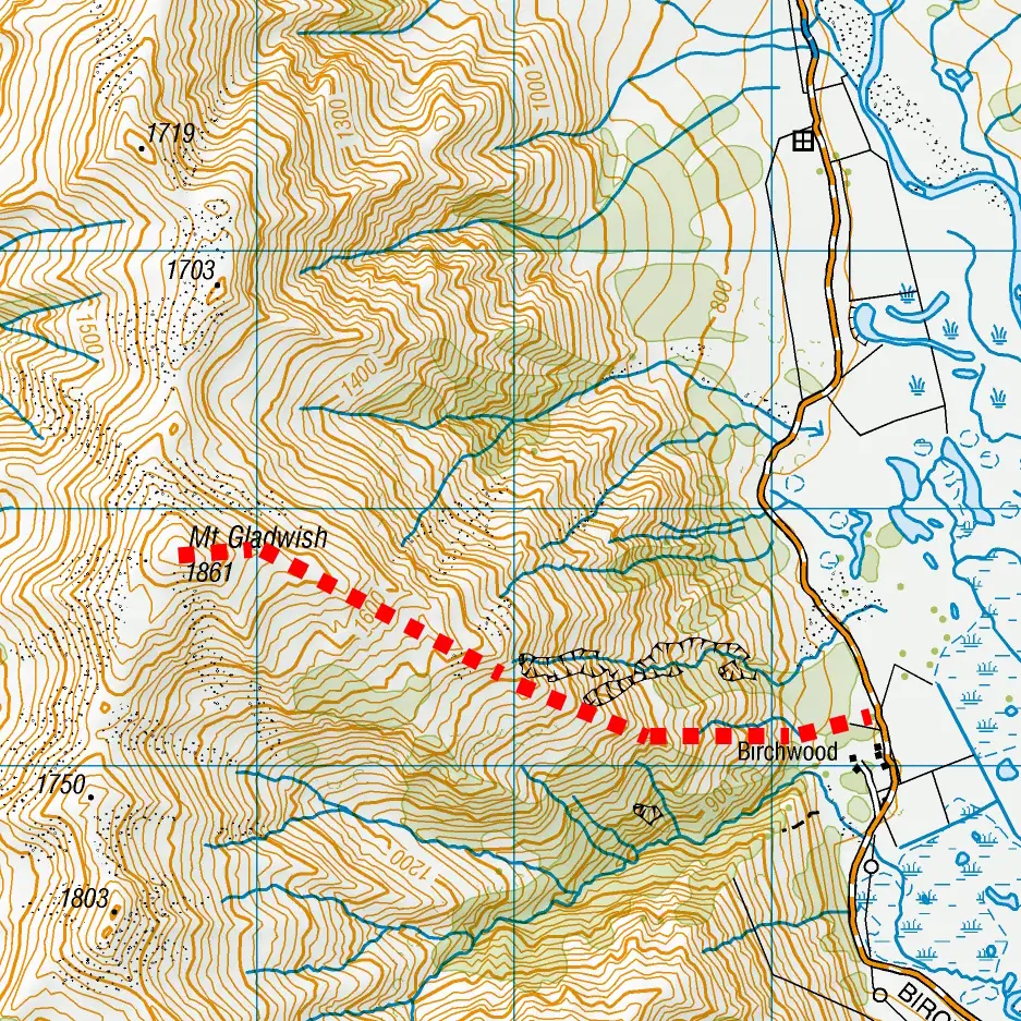 Mt Gladwish in Ahuriri Conservation Park Route