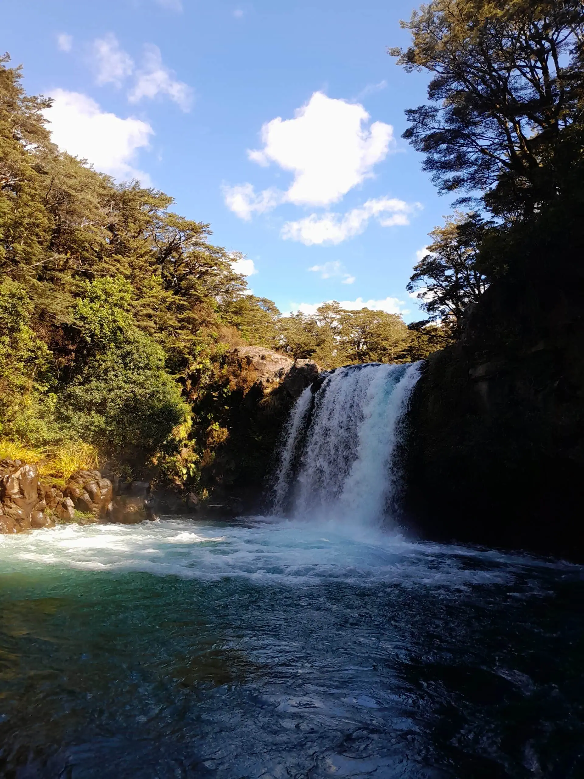 Tawhai Falls, also known as Gollum's Pool, a powerful wide waterfall dropping into a deep blue pool surrounded by native beech forest near Whakapapa Village
