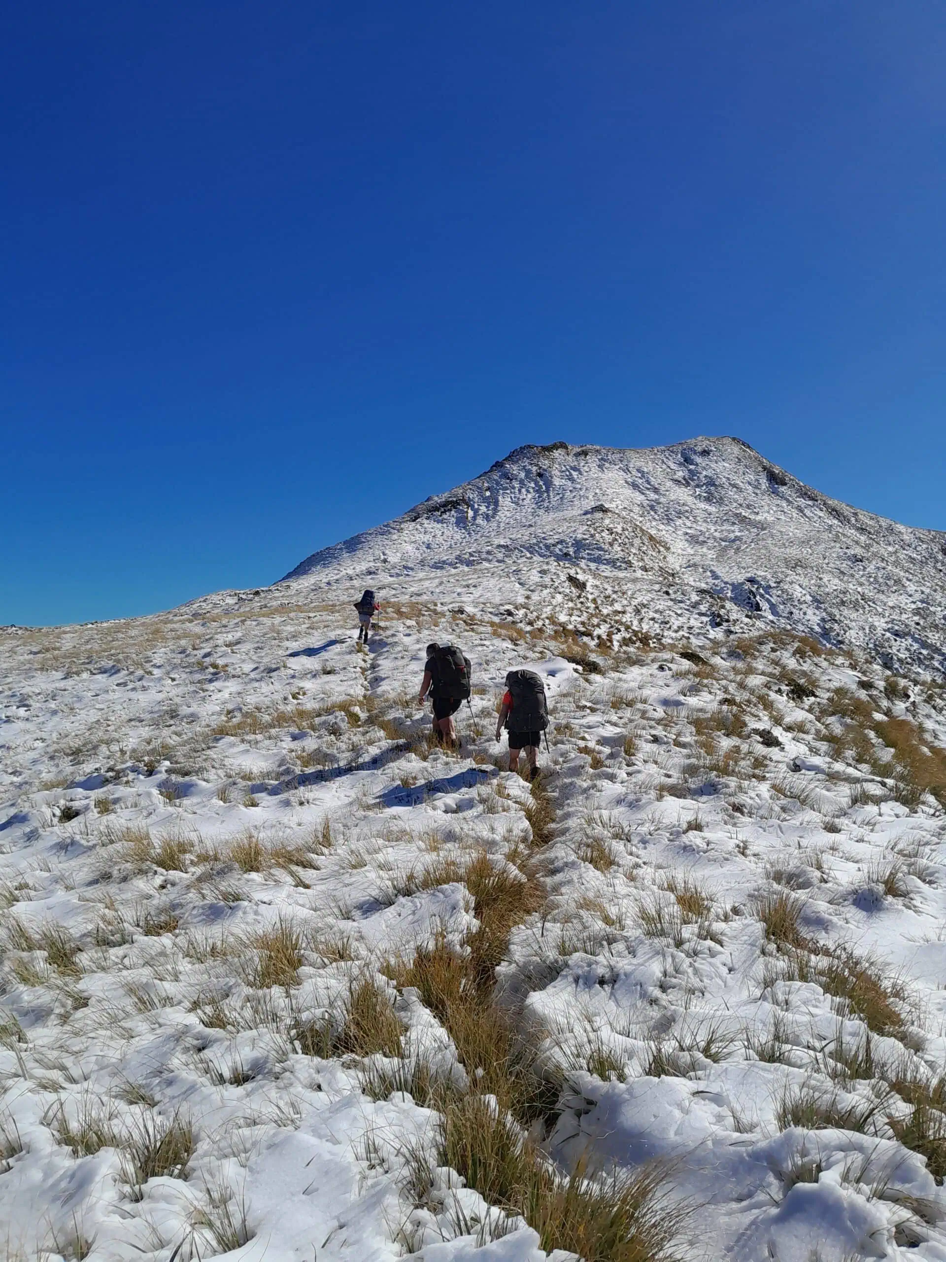 Mangaweka & the Pegs of the Ruahine Range
