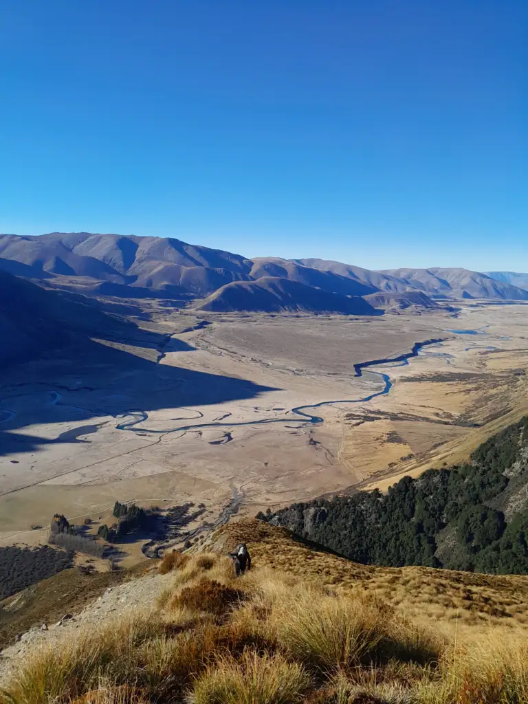A hiker climbs up a steep tussock covered mountain above Ahuriri Valley, New Zealand to the peak of Mt Gladwish, 1861m for views of the Southern Alps & Mt Aspiring. 