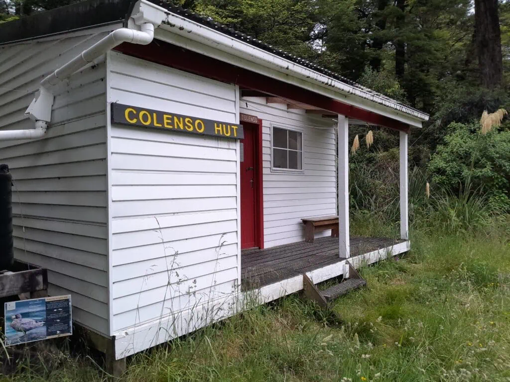 The exterior of the white timber Colenso Hut with its classic red door, surrounded by long green grass and native bush.
