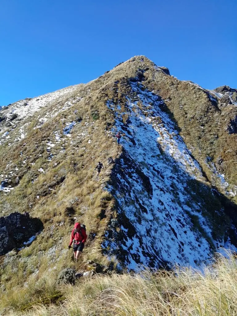 A steep descent down snow covered tussock to Pourangaki hut in the Ruahine Range