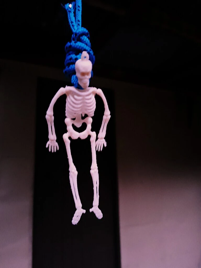 A small, quirky skeleton figure dangling from the balcony of Kelly Knight Hut in a native bush clearing.