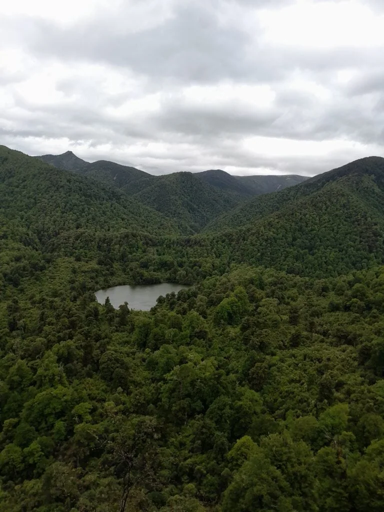 An aerial, high-angle view looking down at Lake Colenso Kokopunui nestled deep within a dense, green New Zealand native podocarp forest.