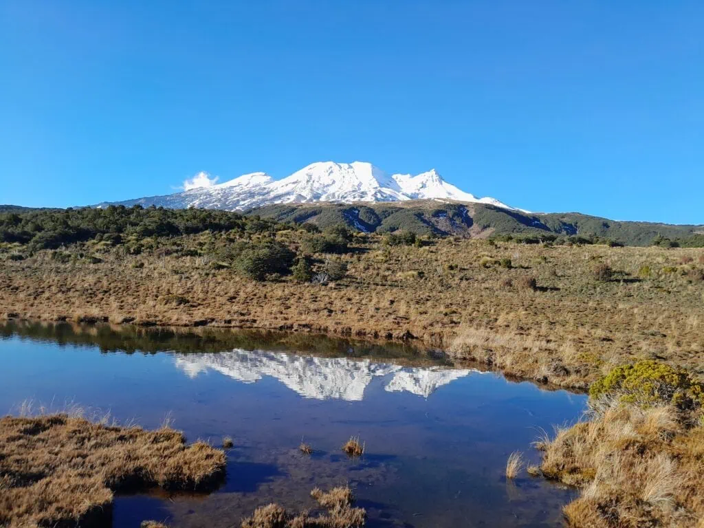 The snow-capped Mt Ruapehu reflected perfectly in the still waters of the Rotokawa Pools that form part of the alpine wetlands along the Waitonga Falls track