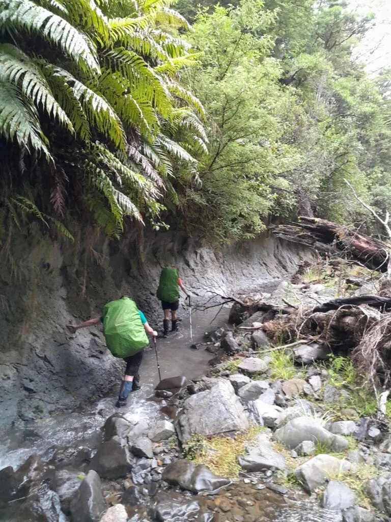 A rugged, rocky riverbed canyon route with overhanging trees, showing the backcountry route to the Unknown Campsite