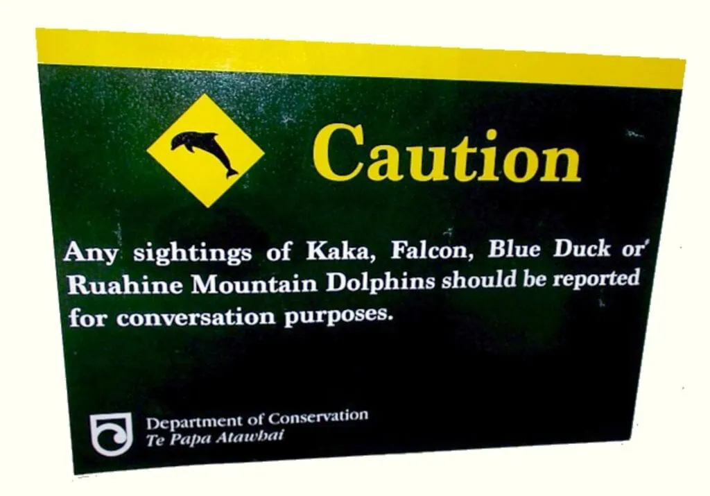 Close up of the humorous green and yellow Department of Conservation sign warning trampers to report sightings of the fictional Ruahine Mountain Dolphins.
