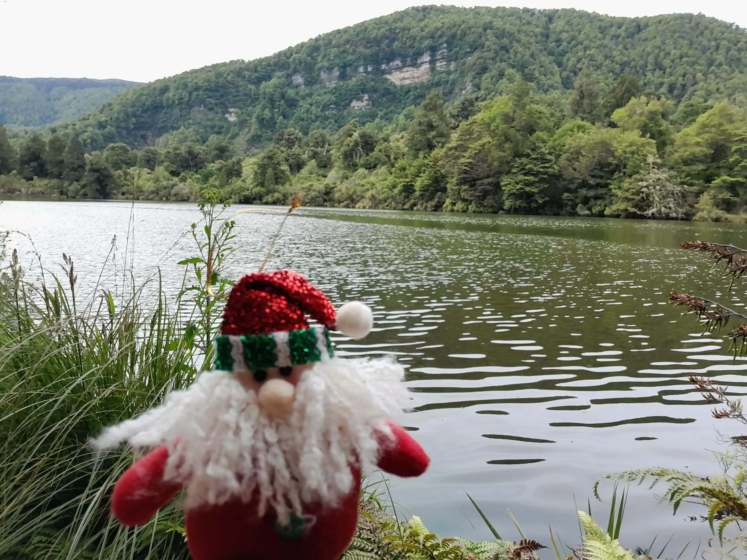 Lake Colenso, Unknown Campsite & Elusive Ruahine Mountain Dolphins