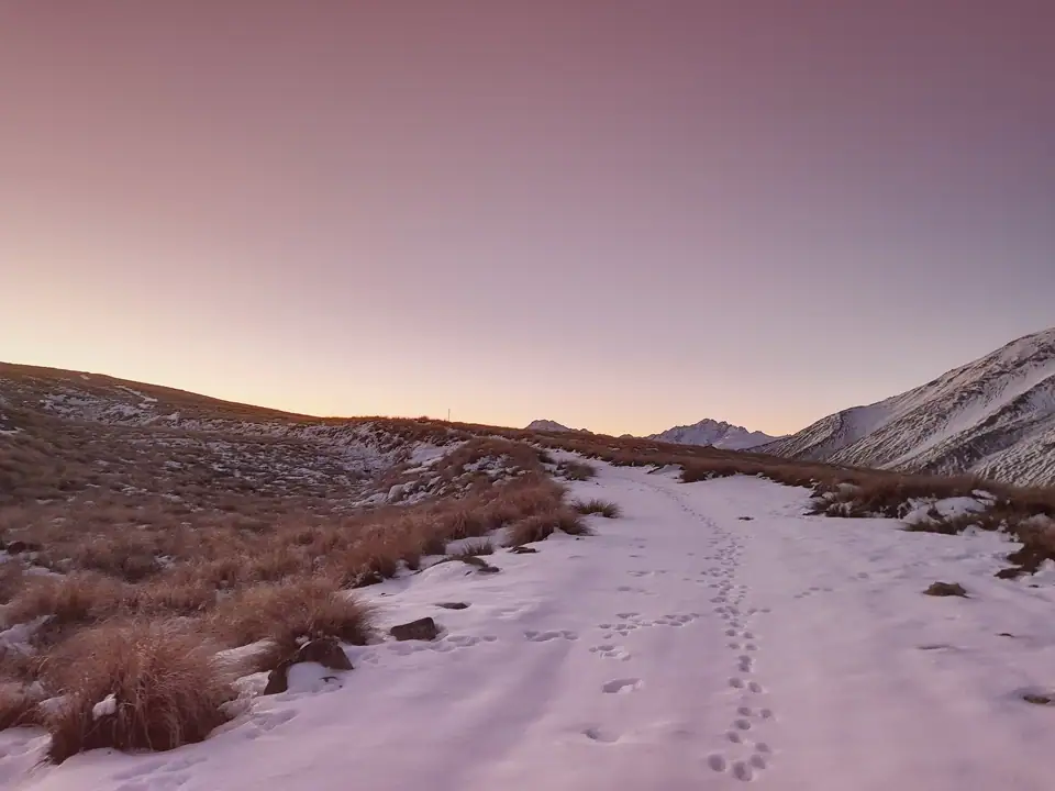 Animal footprints embedded in a snow-covered Mt Potts tramping track in Hakatere Conservation Park during a pink winter sunset.