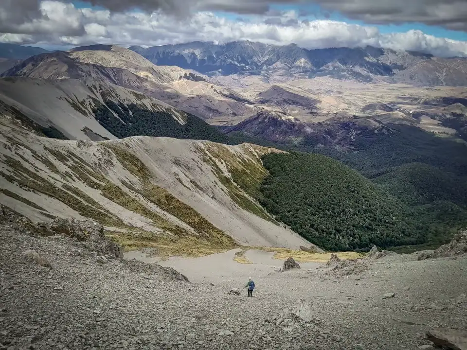 Craigieburn Forest: Nervous Knob & Hamilton Peak Loop