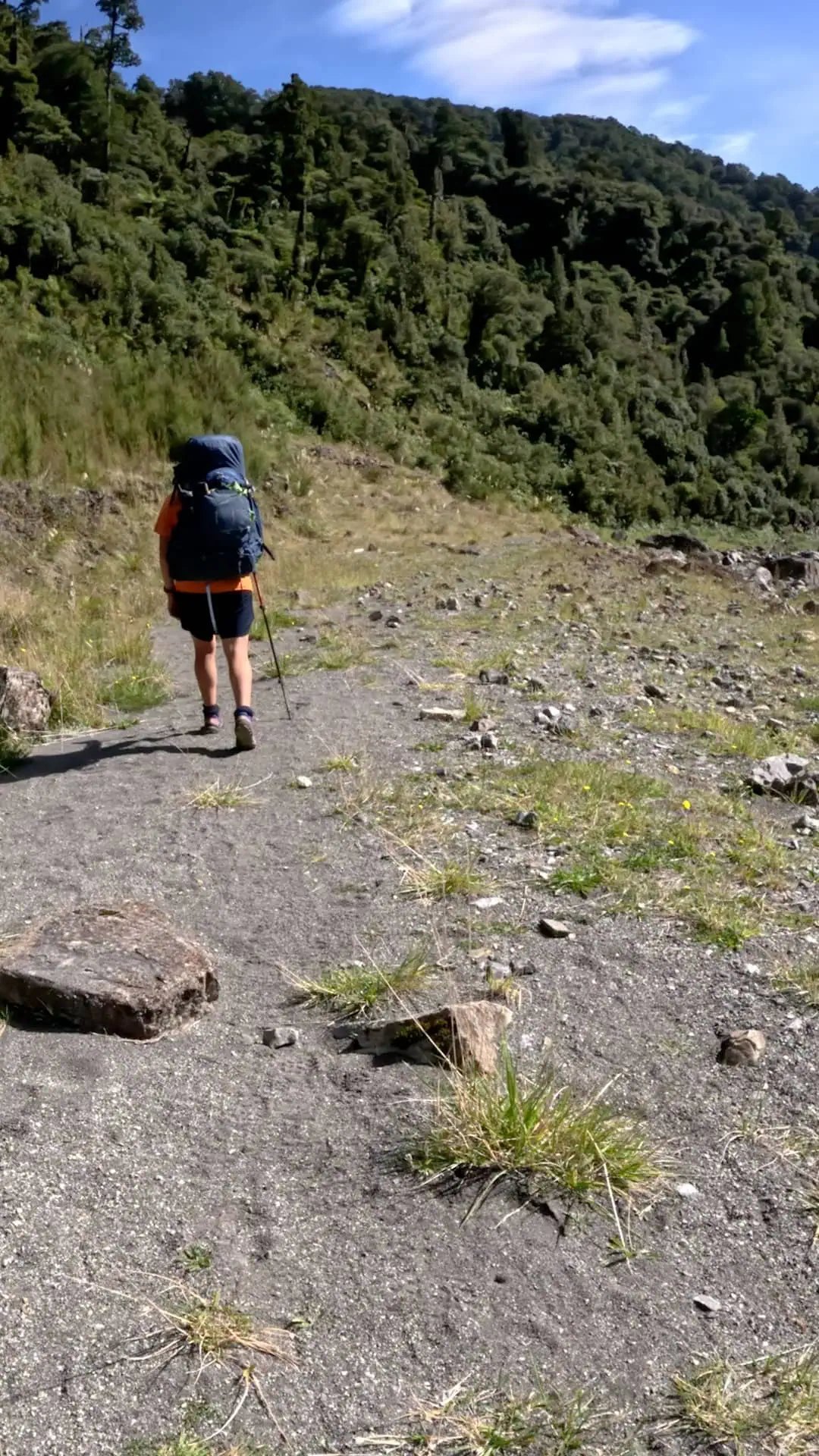 A hiker walks along the Totara Flats Track beneath the active slip 1 km below Totara Flats