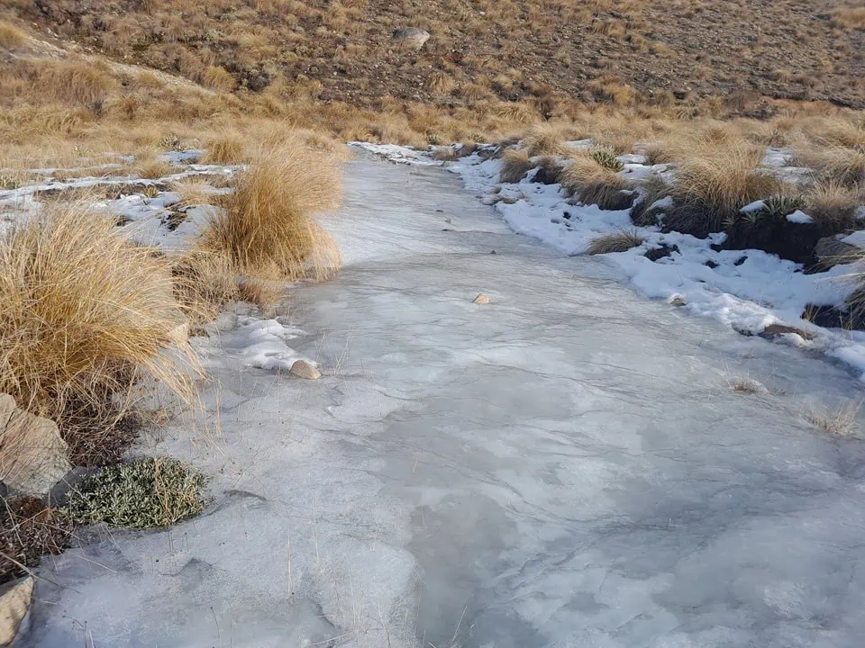 A wide stretch of thick winter ice completely covering the Potts Hut tramping track surrounded by alpine tussock grass in Hakatere Conservation Area, Canterbury.