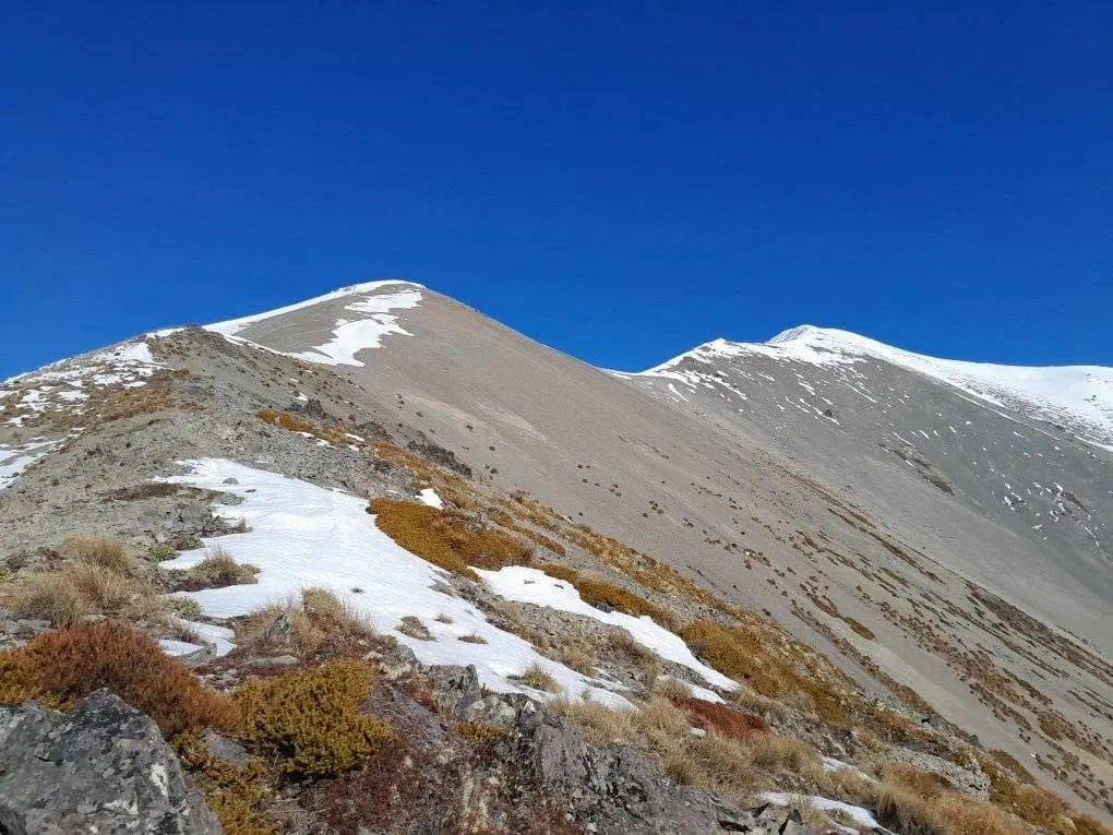 Looking up a wide tussock and scree spur called Long Spur with patches of winter snow leading toward the alpine zone of Mount Cloudsley in Carigieburn Forest Park, Canterbury