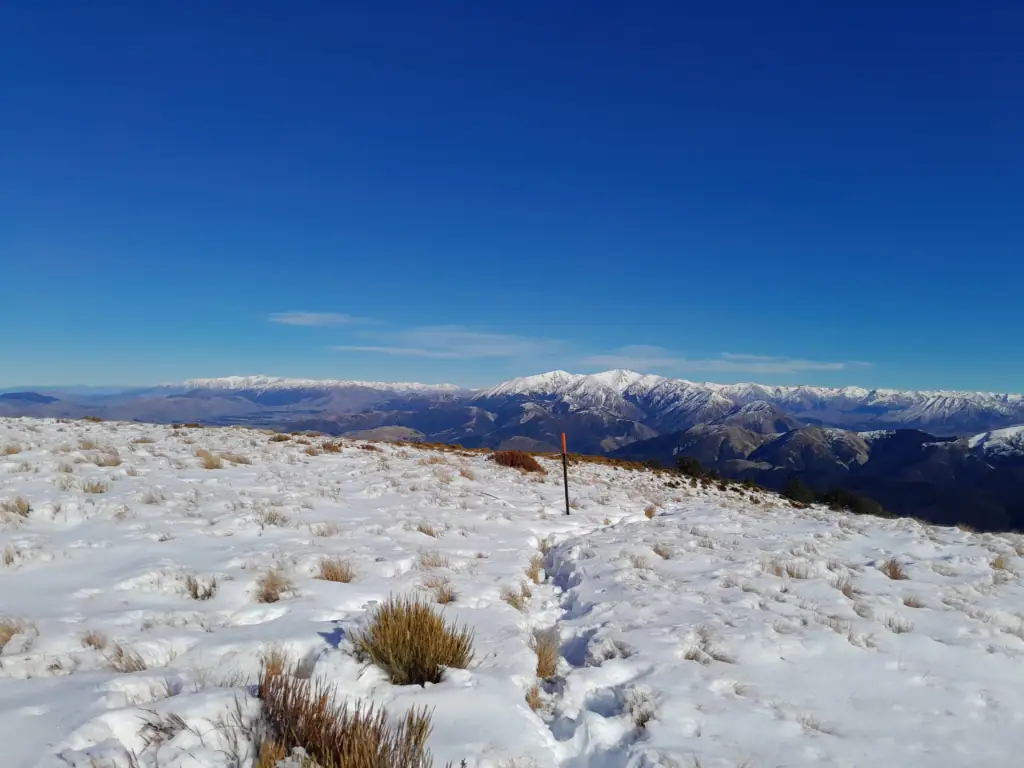 A single orange trail marker pole on a snowy, open tussock plateau above the bushline on the Mt Oxford track.
