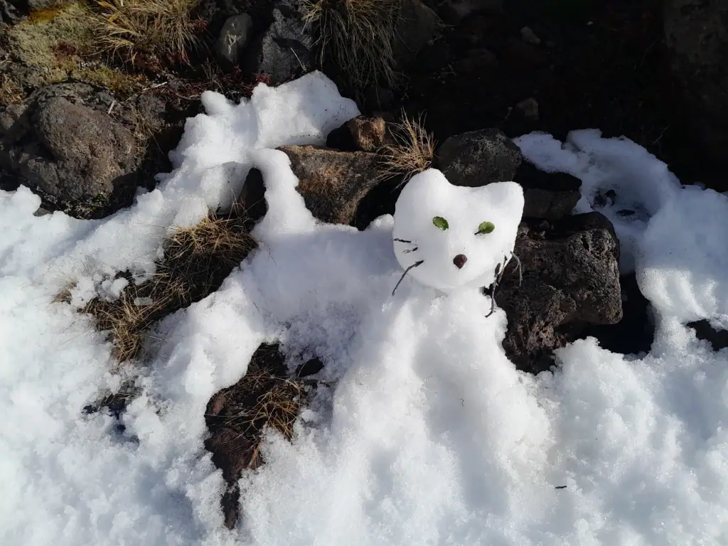 A creative cat snow sculpture with leaf eyes and twig whiskers built over volcanic rocks in the snow at Iwikau Village, Mt Ruapehu.