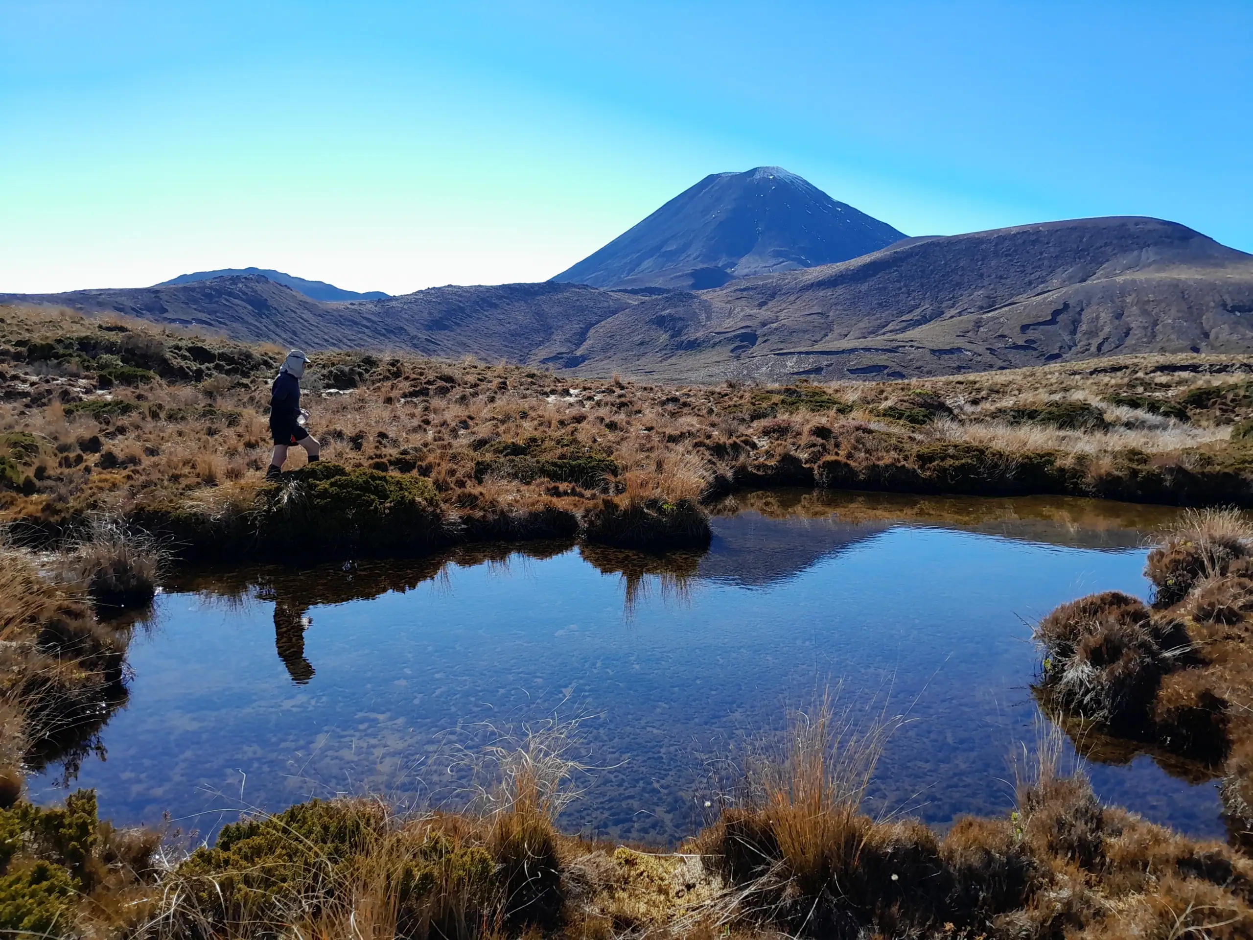 Ngā Puna a Tama & Pukekaikiore in Tongariro National Park