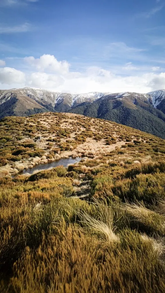 Alpine tarn on the Annavale/Benmore Link track surrounded by golden tussock grass with the snow-dusted Benmore & Torlesse Range in the background, Korowai/Torlesse Tussocklands Park, Canterbury