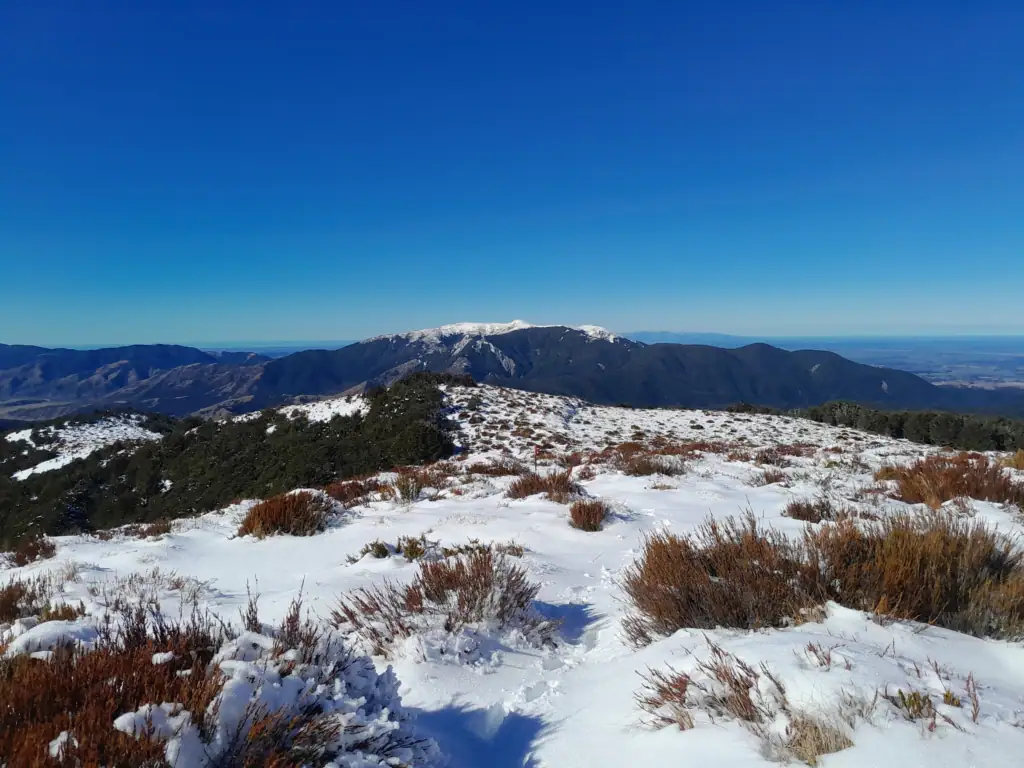 Looking back across from Black Hill to a snow-covered alpine ridge line & the rounded summit of Mt Oxford in winter, Canterbury