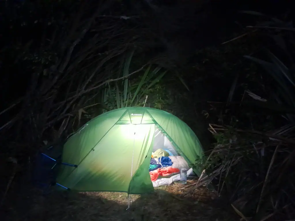 A green Macpac dome tent illuminated from the inside at night, pitched among native bush and flax at Mangahuia Campsite before a climbing trip up Mt Ruapehu.