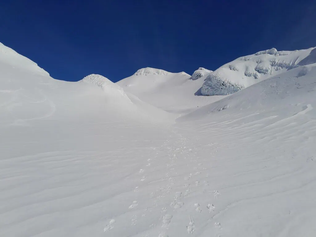 Looking up the snowy Whakapapa Glacier toward the broad, snow-covered saddle between Dome and Paretetaitonga peaks under a clear blue sky.