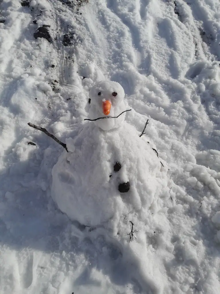 A small, handmade snowman with a carrot nose, stick arms, and stone buttons sitting in the snow at Iwikau Village on Mount Ruapehu.