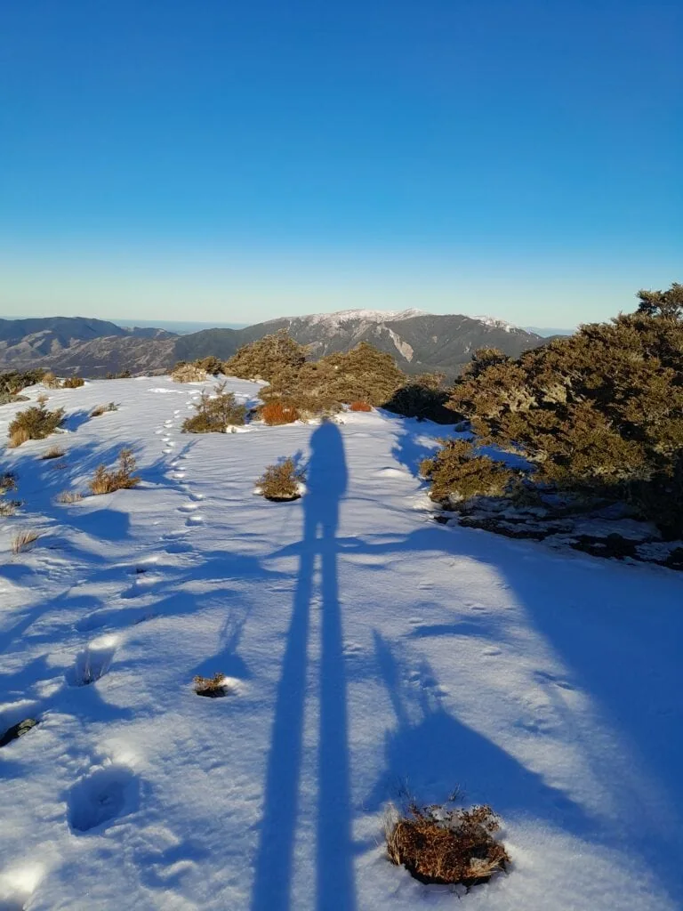 Long shadow of a tramper cast onto a snowy ridge during a winter alpine traverse to Black Hill, Mt Oxford Forest, Canterbury.