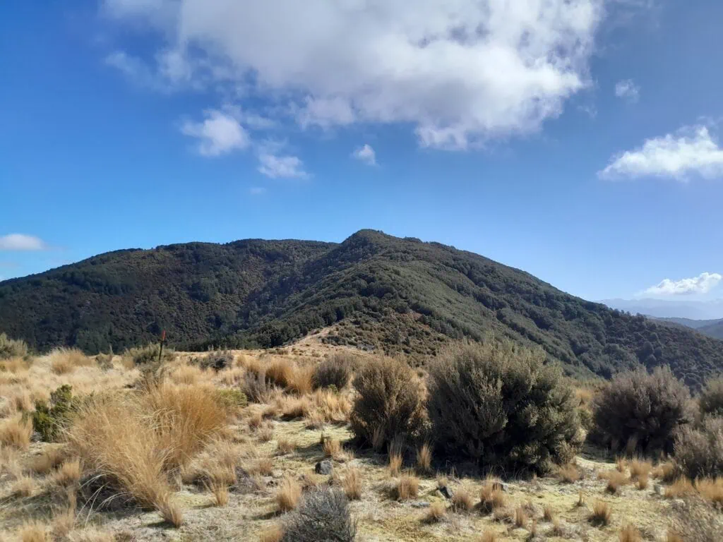 Wide-angle view of the rugged, exposed Cattle Peak tramping route on the way to Bob's Camp Bivvy from PInchgut Hut, covered in high-altitude tussock grass under a cloudy blue sky, Mount Thomas Forest Conservation Area, Canterbury Foothills.