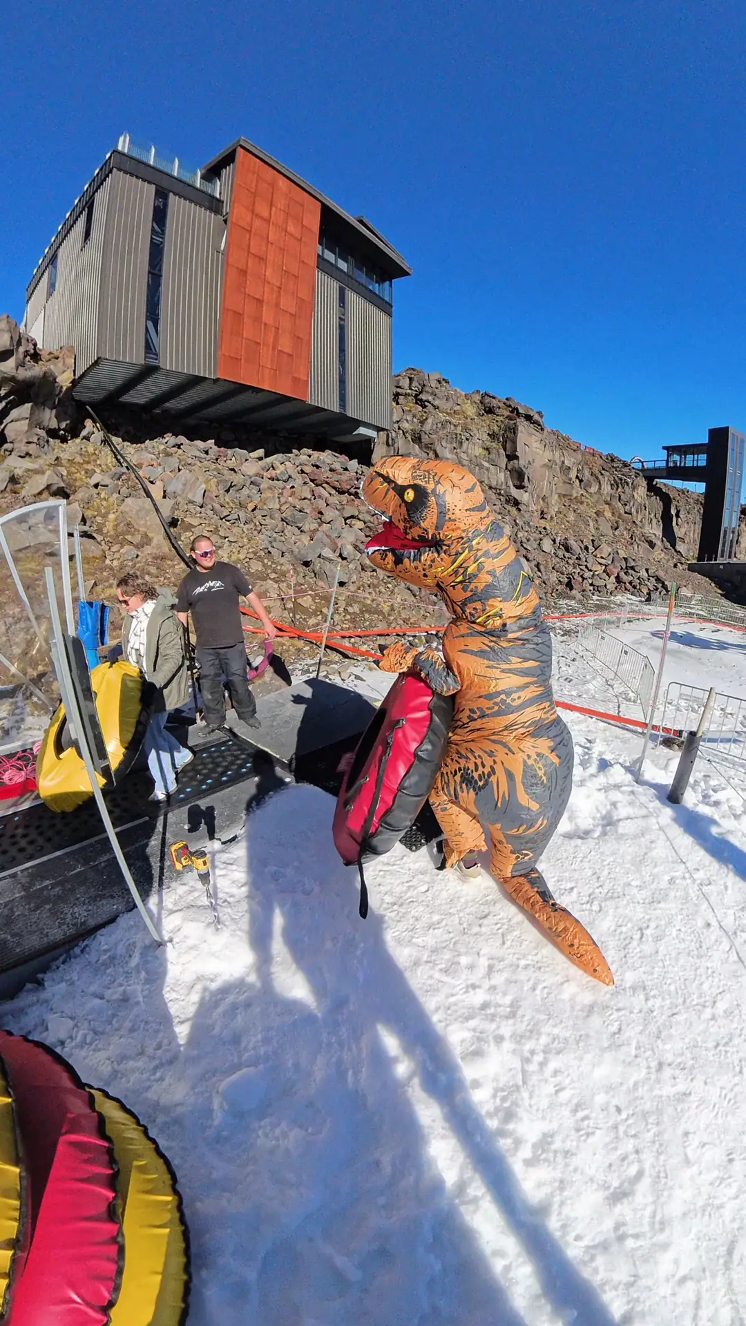 Happy Valley Ruapehu | A visit by a playful Sarahsaurus