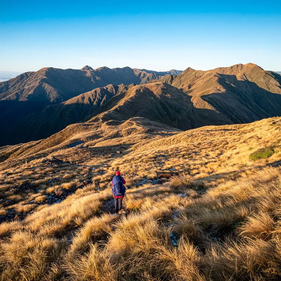 Sarah stands on a ridge in the Northern Tararua on a rare cloudless day with Lancaster on the skyline and Arete Hut a welcome shelter visible in the distance