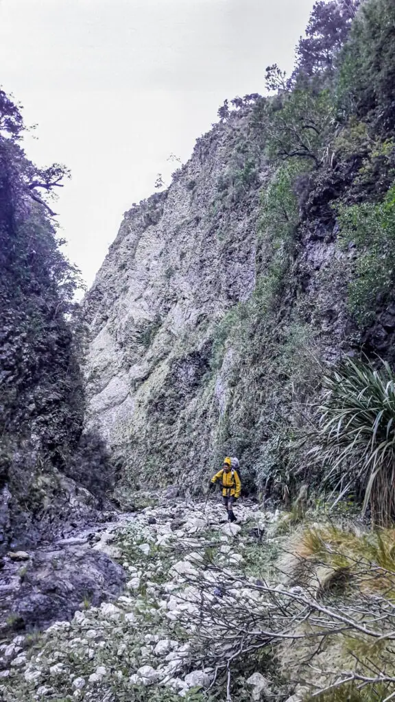 A tramper wearing a yellow jacket navigating the rocky riverbed of Brian Boru Stream flanked by steep, forested gorge walls. Located in Isolated Hill Reserve in the Seaward Kaikōura Range