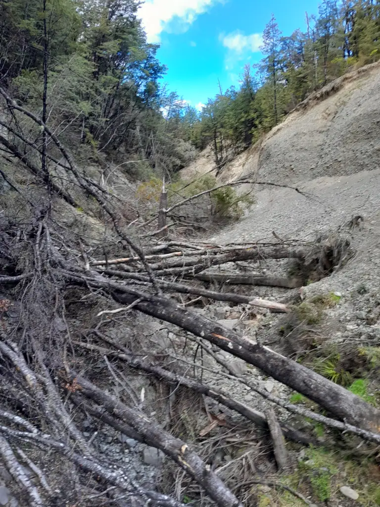 A dry riverbed choked with heavy tree fall and tangled logs next to an eroded clay bank on the unmarked route leading to Turnbull Biv in Poulter Valley