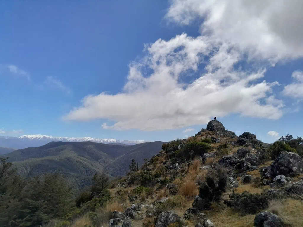 Rocky outcrop on the Bob’s Camp Bivouac route, with a karearea sitting on a rock and views in the distance to Mt Oxford and the Torlesse Range