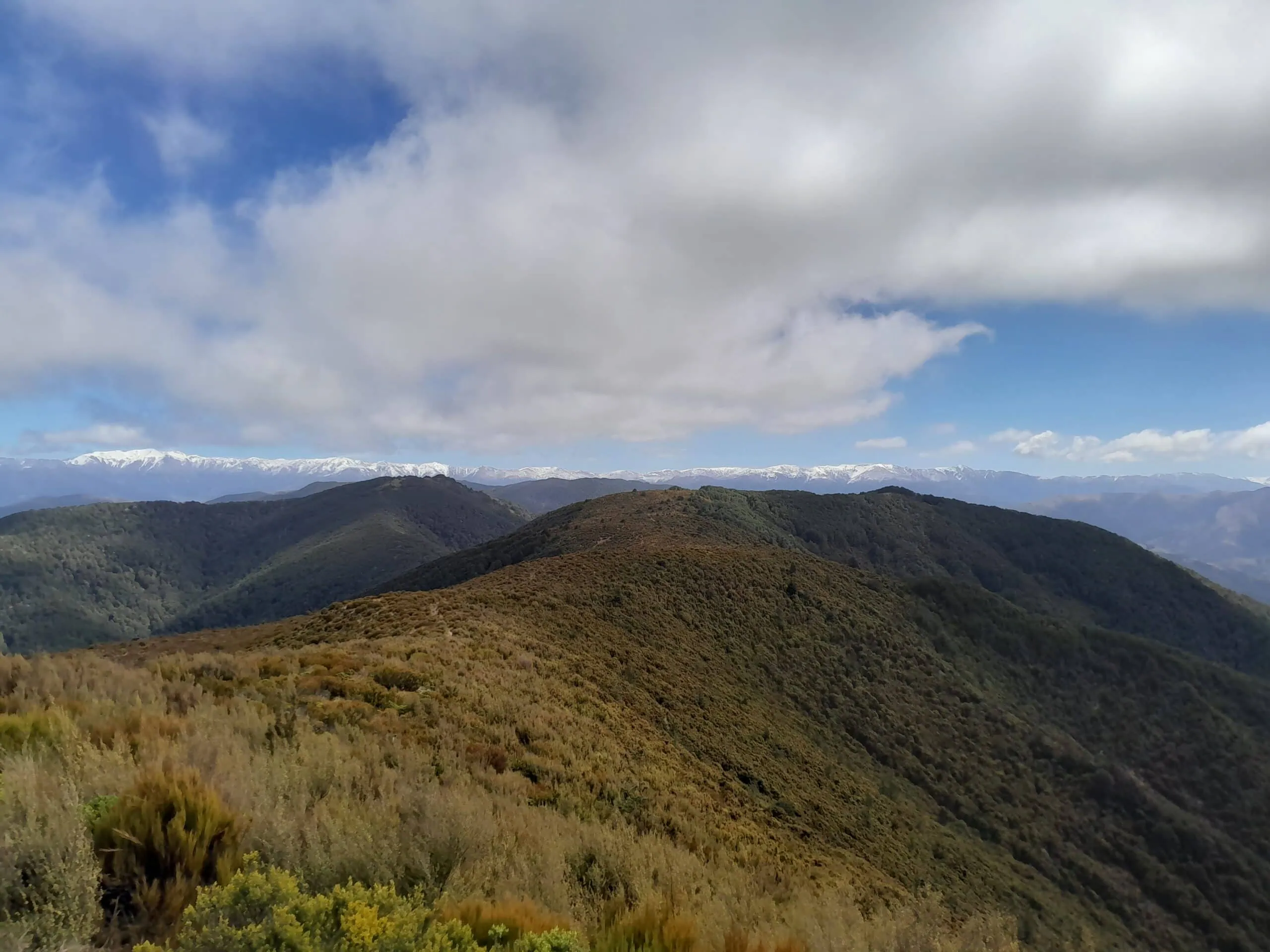 Mount Thomas: A Complete Guide