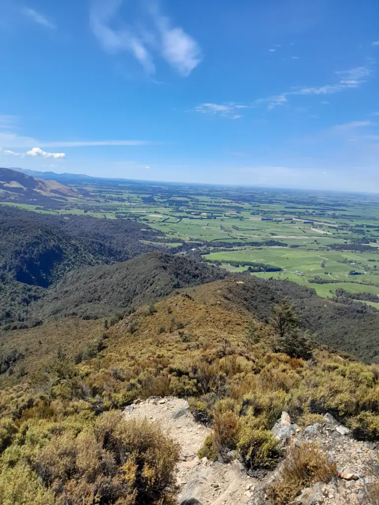 Panoramic view from the Mt Somers South Face Track looking down over the rolling green Canterbury Plains, Hakatere Conservation Area, Canterbury