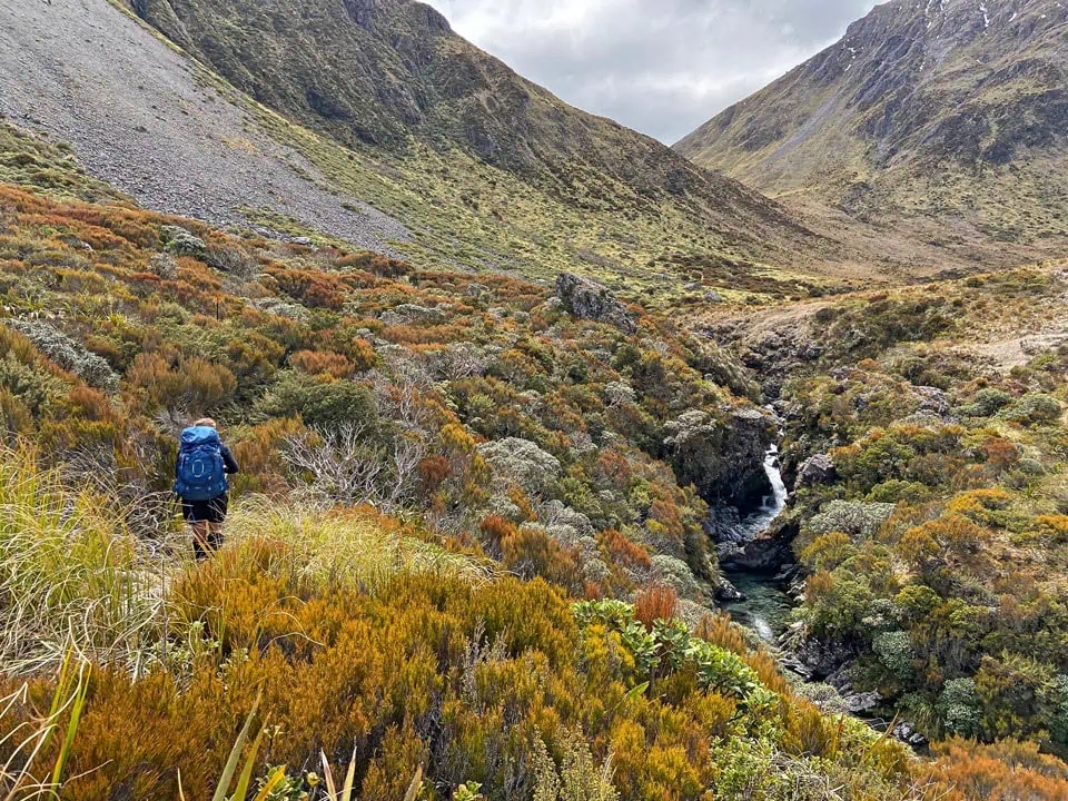 A tramper wearing a blue backpack walks through dense, colorful alpine scrub and tussock alongside a steep rocky gorge with a cascading waterfall towards Minchin Pass, Poulter Valley, Arthur's Pass.