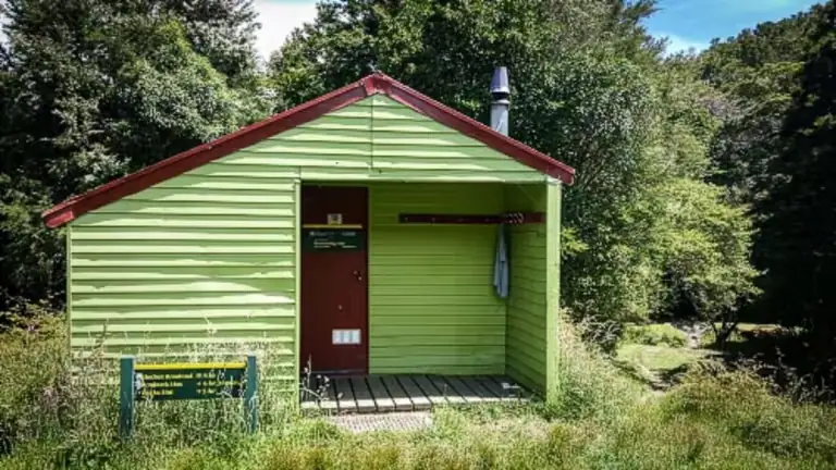 Light green timber Browning Hut nestled in native forest along the Pelorus Track, Mt Richmond Forest Park