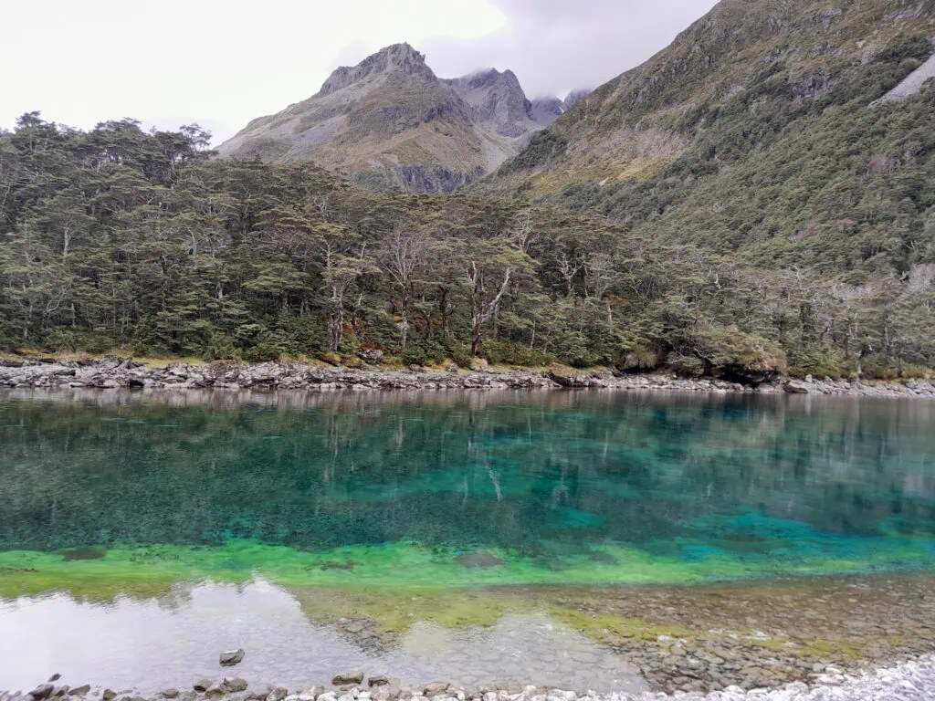 Famous clear blue water of Lake Rotomairewhenua / Blue Lake, the clearest natural lake in the world, Waiau Pass Route, Nelson Lakes National Park