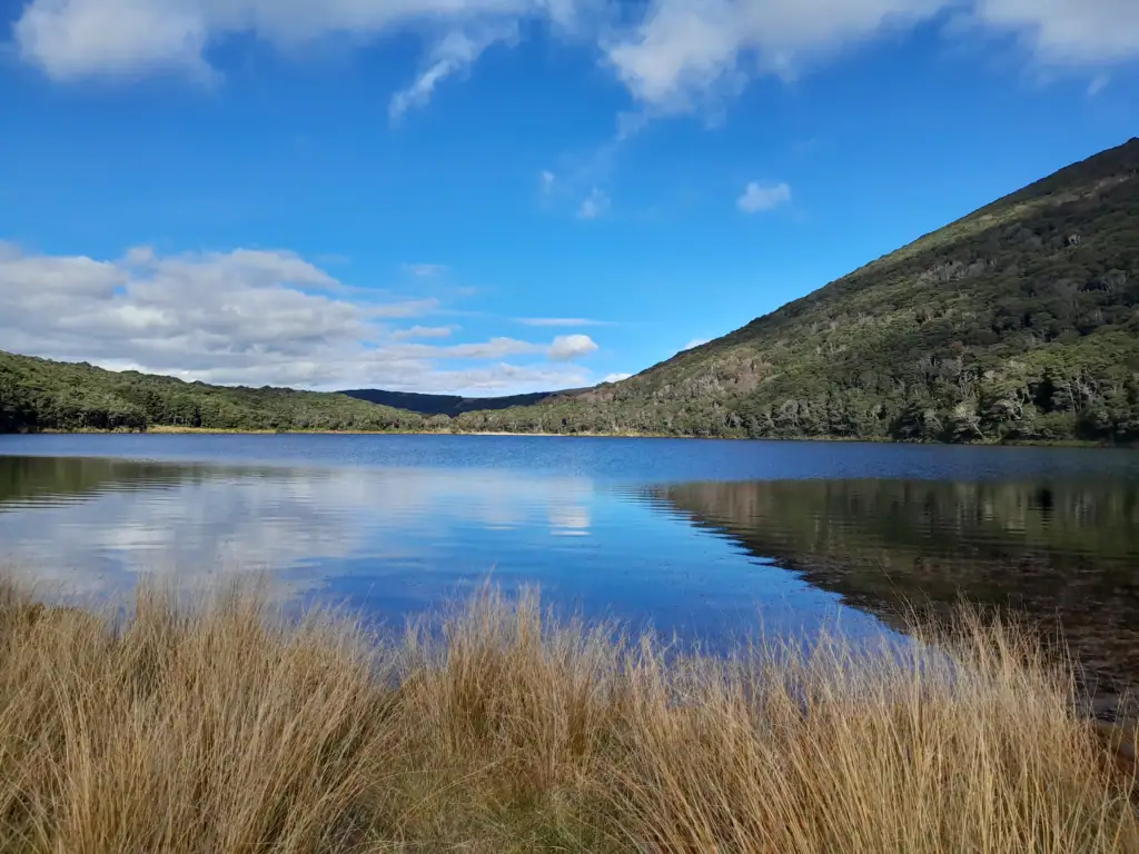 Scenic shoreline view of calm blue waters at Diamond Lake framed by golden tussock and beech-covered hills.