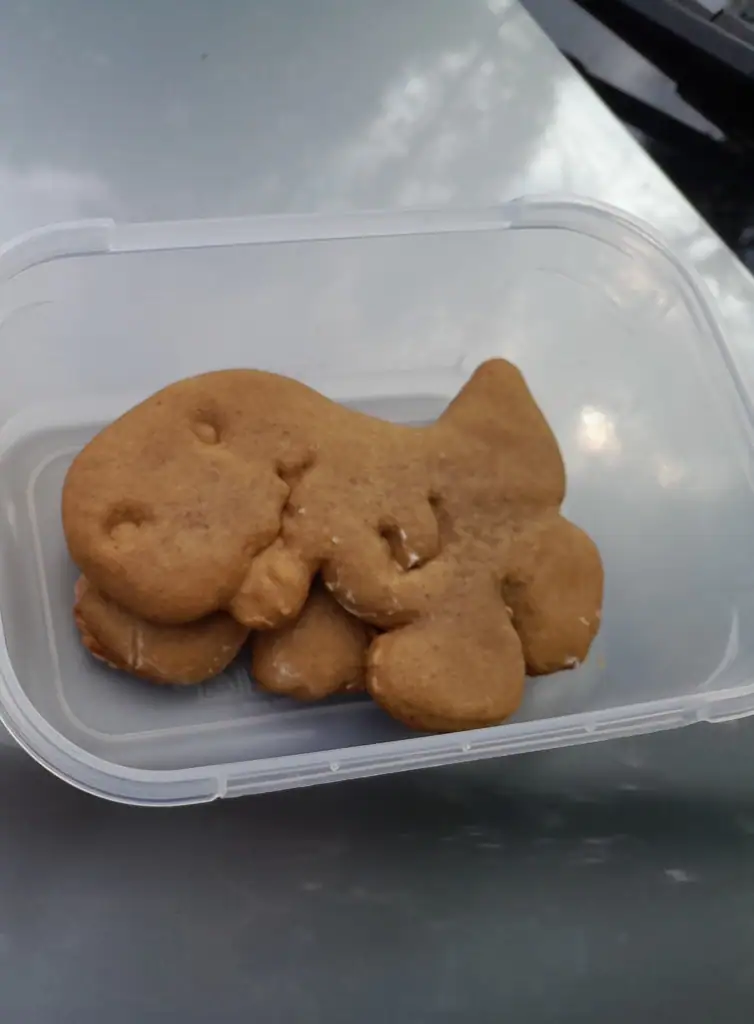Container of dinosaur-shaped gingerbread cookies brought as hiking snacks on the trip, RIchmond Forest Park, Marlborough