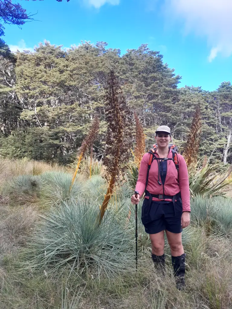 Hiker wearing a pink hoodie standing next to large spaniard /speargrass plants with tall brown seed heads along the Lockett Lakes Loop route