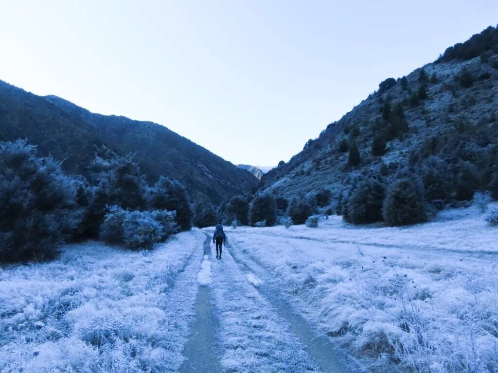 Hiker walking along a heavy frost-covered track in the Leatham Valley during a winter tramp
