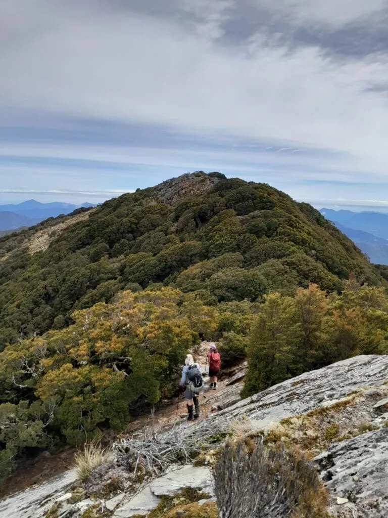 Hikers walking along a subalpine ridge trail leading towards the summit of Mt Sunday, Richmond Forest Park, Marlborough