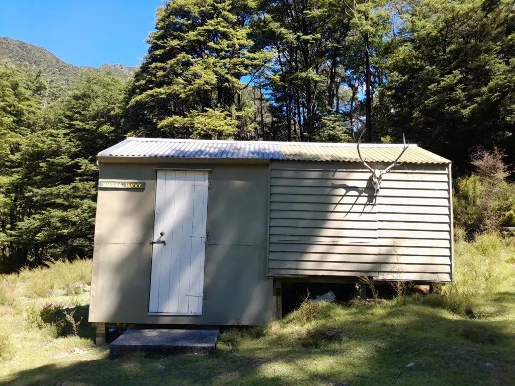 Small wooden Omaka Bivouac hut with deer antlers mounted above the door, set against native beech forest., Ferny Gair Conservation Area, Marlborough