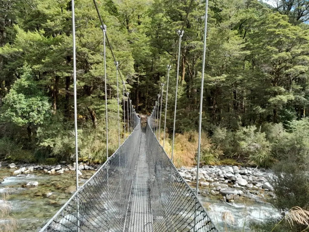 Wire swing bridge crossing the rushing Sabine River surrounded by dense beech forest., Travers-Sabine Circuit, Nelson lakes National Park